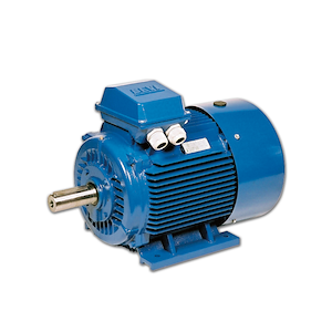 الکتروموتور چینی 3000 دور 160m1-2